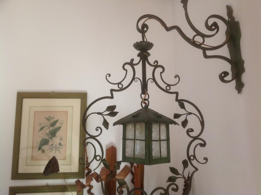 ホテル Cisanello House ピサ エクステリア 写真